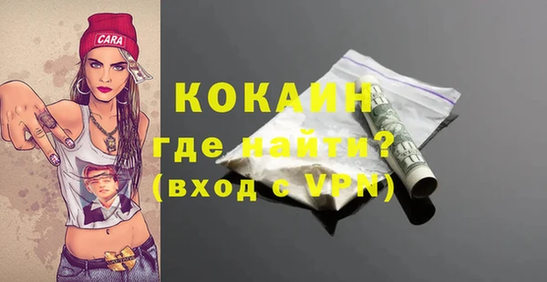 прущие грибы Армянск
