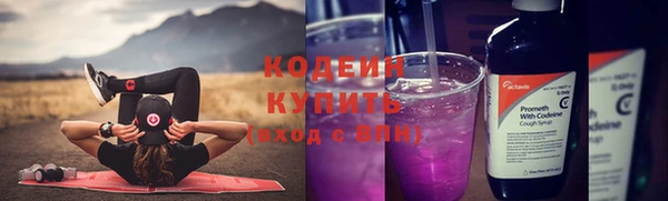 прущие грибы Армянск