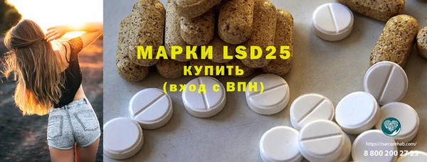 прущие грибы Армянск